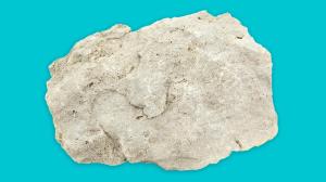 rock-on.adapt.1900.1