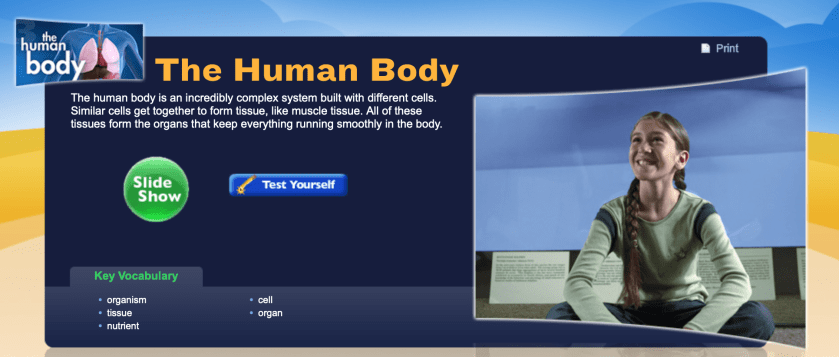 Study Jams Human Body