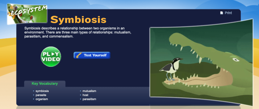 Study Jams symbiosis