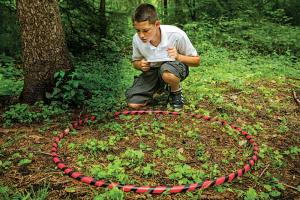 try-this-observation.adapt.1900.1